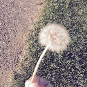 Meet your Posher, Faith